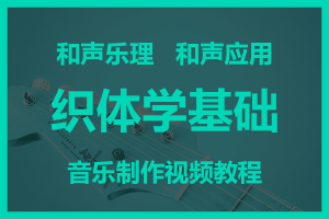 织体学基础——和声乐理和声应用音乐制作视频教程